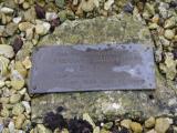 image of grave number 795341